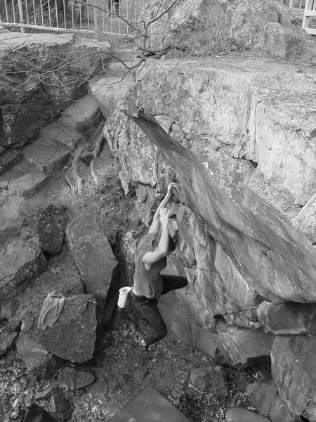 P missing the "Lunge" and taking the "Plunge"