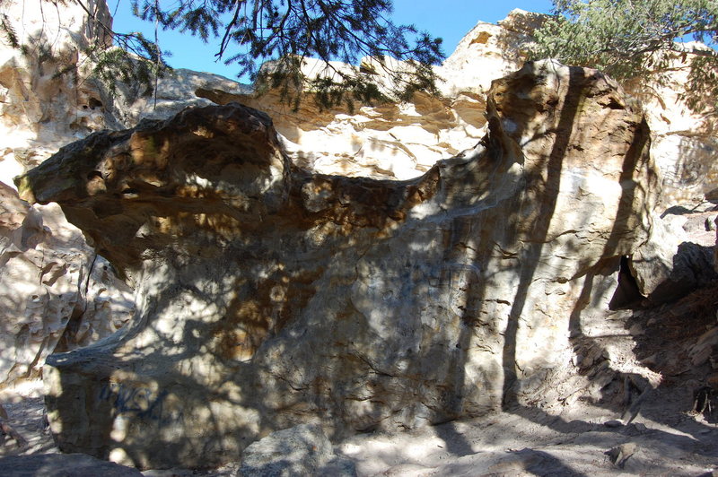 The Wave Boulder; a nice V0 sit start in the middle that goes straight up and tops out. There is a V2 variation that starts at the same spot, but the route moves to the right where you top out on the taller right side of the boulder. There is a nice V1 traverse as well. You start at the same sit start as the others, but you top out where the V0 does but you then traverse all the way over to the left side of the boulder.