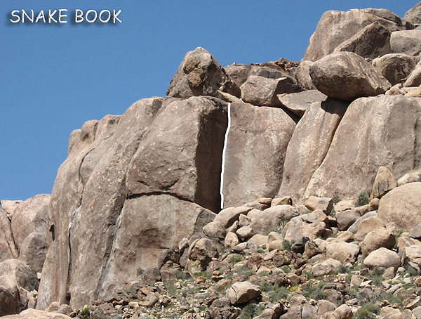 "Snake Book".<br>
Photo by Blitzo.