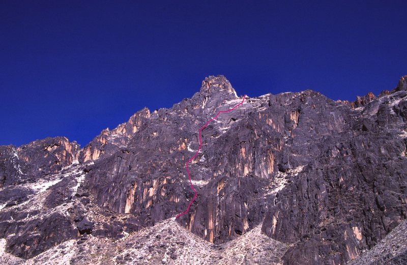 This is roughly where our route went. There was evidence of other climbers on this massive wall.