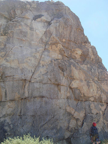 Raptor nest on ledge at Reef Rock
