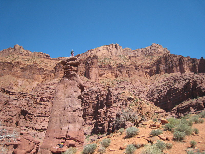 Wheat on top of Lizard Rock with the Fisher Towers all around