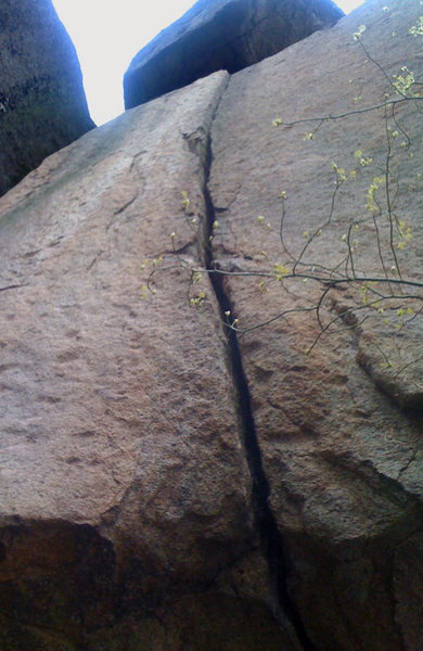 Bushwhack Crack on the Wall That Dreams are Made Of, Old Rag, Virginia.