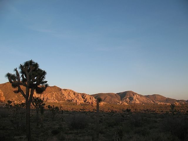 The Comic Book and Saddle Rocks, Joshua Tree NP