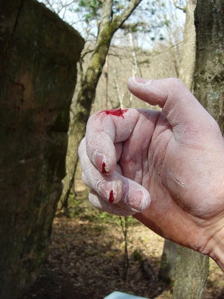 Sharp holds indeed. Ouch.