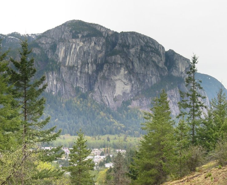 A stitched together panoramic of the north walls of the Chief taken from the loop trail in the Smoke Bluffs just above the far right side of Ronin's Corner.<br>
<br>
Angel's Crest runs up the edge visible in the middle of the image, just left of the Sheriff's Badge.