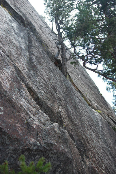 The start is a bit inobvious, but notice the knoted tree in the photo, which is about 25ft up on a ledge. Also the right-slanting hand rail in the left side of the photo.