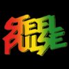 promise I'm not one of "those" hippies.... but i do love Steel Pulse.