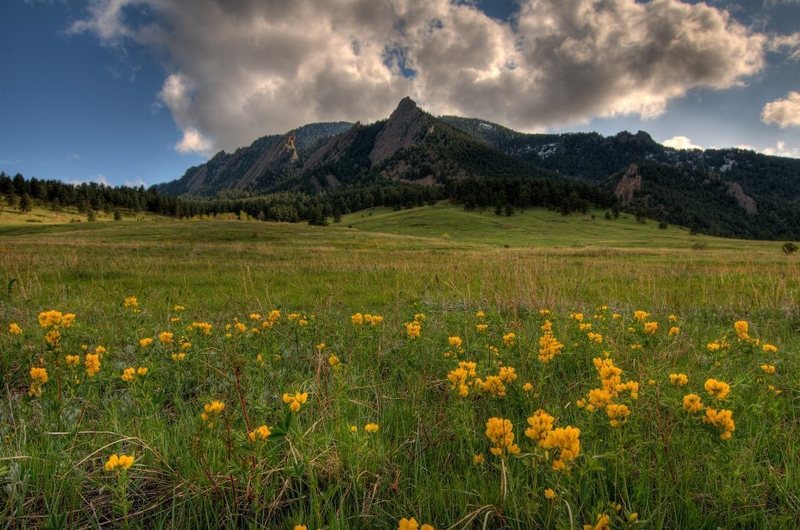 Springtime flowers and Green Mountain. From right to left you can see ...