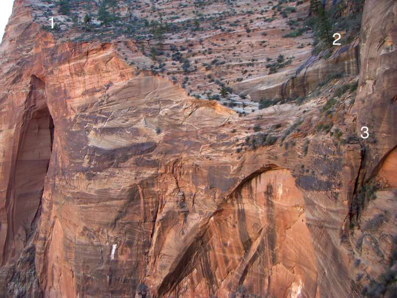 Spaceshot/Leaning Wall descent beta, view from Desert Shield. 1 - top of Spacehot, 2 - first rappel is from the large pine tree, rap the slab and then hike to second rappel, 3 - location of second rappel.