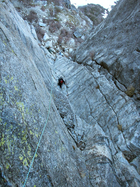 Pitch one cool lichen