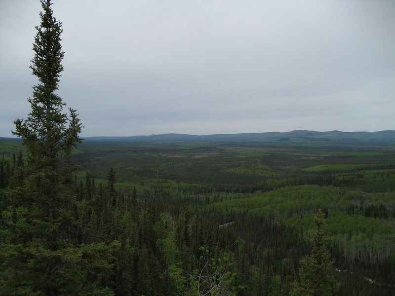 The view from the top of the crag looking West and into the Tatalina river drainage. Notice the Alaskan Pipeline snaking through the trees.