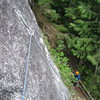 The first pitch of Borderline.  Brad was sorting a rope tangle so I got out the camera.  In the forest, the wall has a cragging atmosphere, but as soon as you're actually on the face, with the Sheriff's Badge above and views all around the Squamish Valley, it suddenly feels like a very big wall.