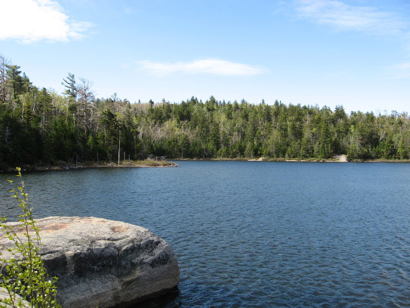 Crane Mountain Pond in the morning.