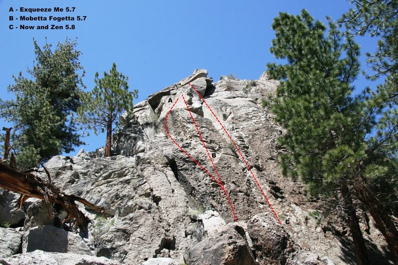 Area 13 - Left Side Topo