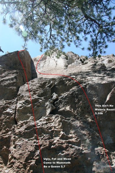 Area 13 - Left Side Topo