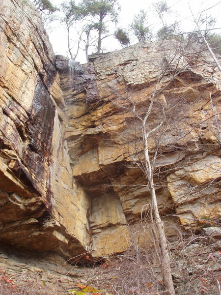 hands is the obvious crack just left of the tree in the center<br>
<br>