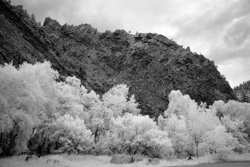 Rotwand in infrared converted to B&W.<br>
Photo by: Frosty Weller.