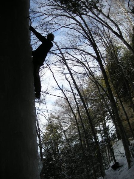Picture taken from behind the Dryer Hose.
