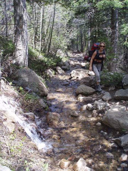 THe melting snow was draining right down the trail....see how happy and energetic she is? That'll change.
