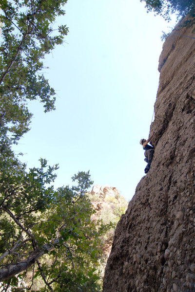 Kathy Boussina is rewarded with an convenient top-rope on Goulara, after having successfully led Economique.