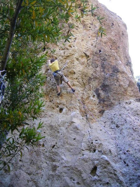 Some guy pushing the limits of innovation in sport climbing by using his Metolius P.A.S. to break the climb up into several smaller, safer, pitches.