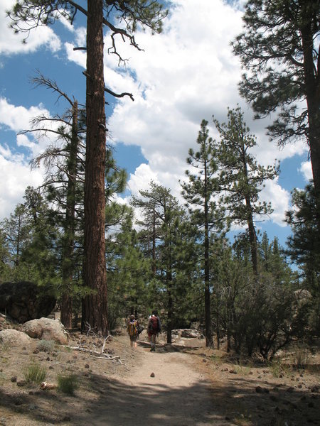 Hiking the trail from the Central Pinnacles to Lost Orbit Rock, Holcomb Valley Pinnacles