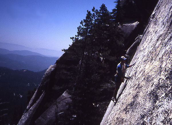 Sunshine Face. Photo Todd Gordon Collection