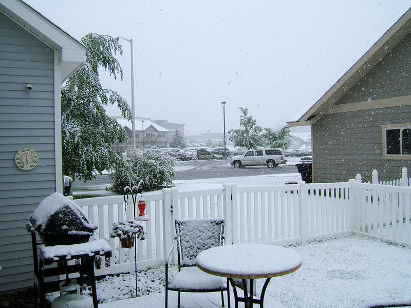 A fine summer day in the Treasure State. June 10, 2008 in Kalispell.