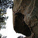 The wildness that is the crux.