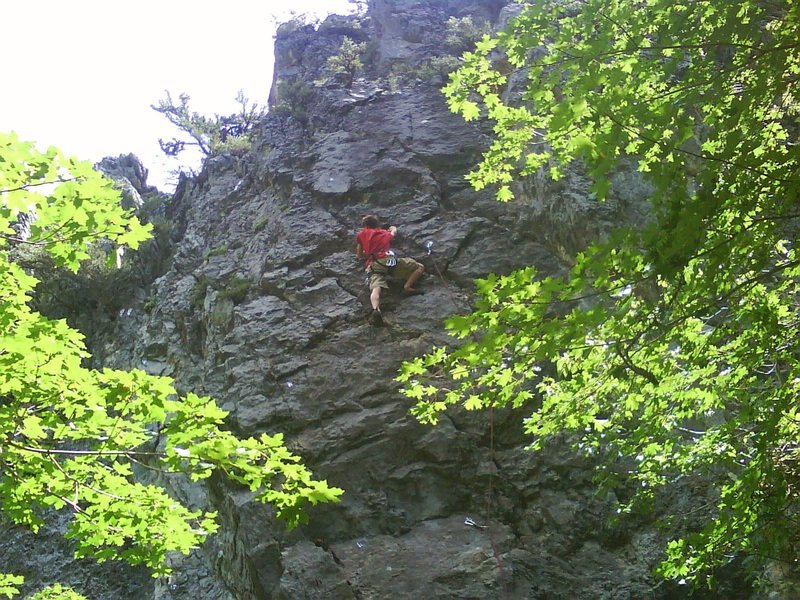 Welcome to the jungle; Steven Stout, age 15, first outdoor, onsight lead.