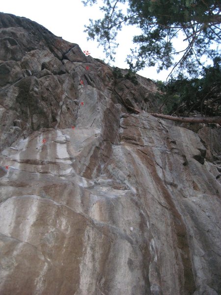This is the Riddler. Just left of the Joker. It is about 3 routes left of the leaning tree.
