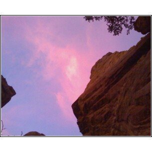 Puppy Chow and Chihuahua Power at Sunset.