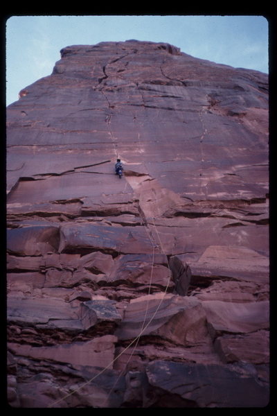Tim Kudo leading Pale Fire.<br>
Nov. 87