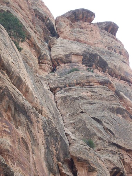2nd pitch of Otto's Route. It's almost too easy with all the chopped steps and pockets that are covering the rock. 