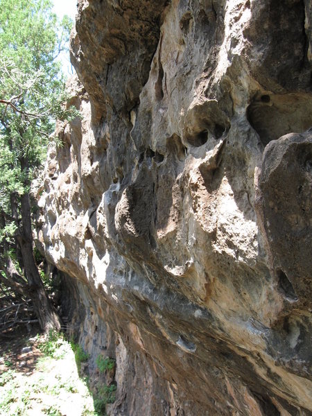 The hold geology shot of Whining Dog Wall.