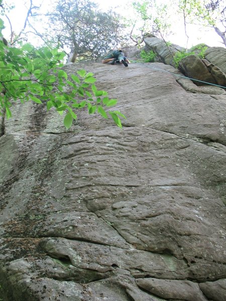 Paul Campbell on Mammalary Magic<br>
<br>
Photo by Angie Olson