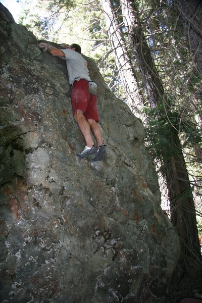 Todd completes The Oral Operator, V3