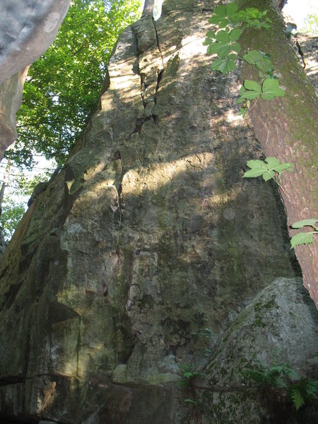 Pine Tree Crack 5.8