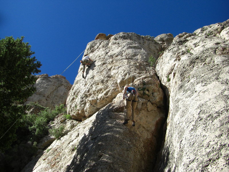 rock-climb-winchester-pump-wild-iris