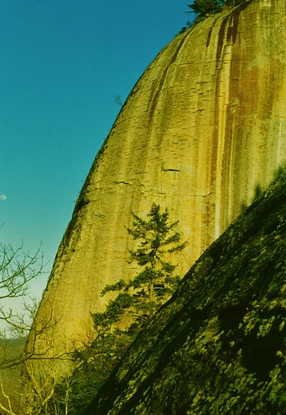The western edge of the North Face of Looking Glass. Carolina Hog Farm ascends the profile of this buttress on the left.