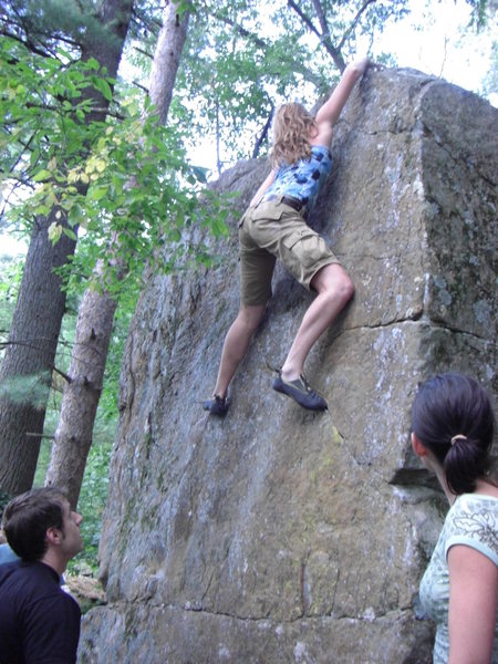 T-Rex getting to the top.