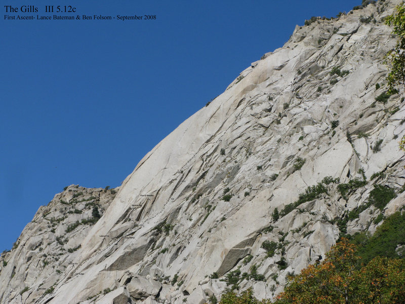 Photo/Topo of new route on The Fin.<br>
The Gills III 5.12c<br>
(Zoom in all the way to be able to see it clearly)
