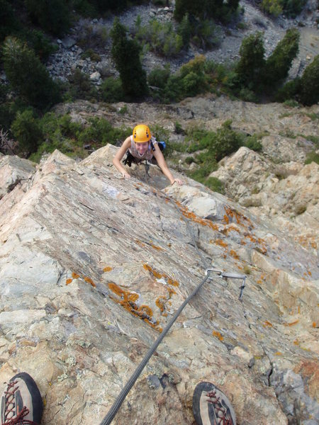 To the top.