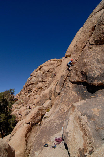Elva Rogers climbs Season Opener in Joshua Tree National Park.