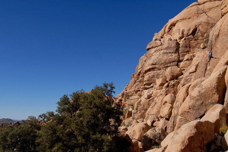 Elva Rogers climbing Watanobe Wall (5.10a) in Joshua Tree National Park.