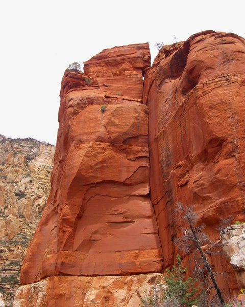 Classic Sedona!