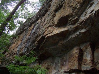 Overhanging sandstone at Yellow Bluff.