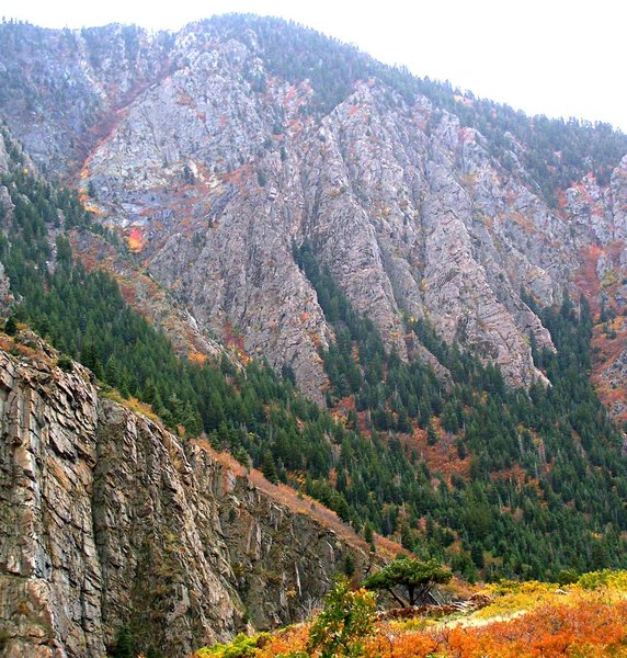 It's not the best photo, but the fall colors are a nice touch. This is ...