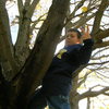 Jeb climbing trees!!